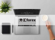 外汇forex(外汇forex1什么意思)